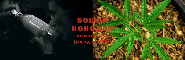 соль ск Богородицк