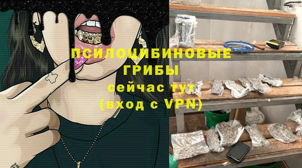 бошки Надым