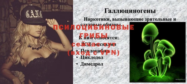 бошки Надым